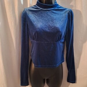 SHEIN Royal Blue Velvet Blouse